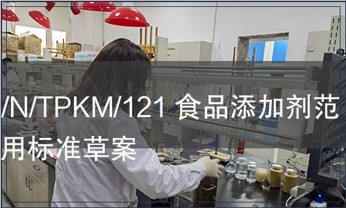 G/SPS/N/TPKM/121 食品添加劑范圍與應(yīng)用標(biāo)準(zhǔn)草案