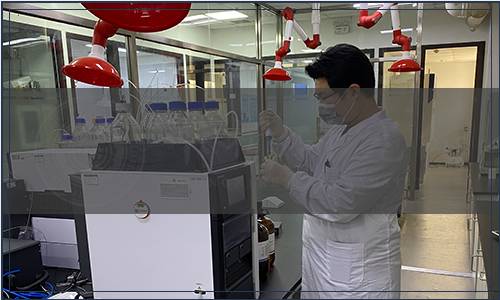 安徽省食品行業協會 安徽省綠色食品協會關于發布《旌德靈芝生產技術規程》 團體標準的公告（皖綠協[2023]9號）