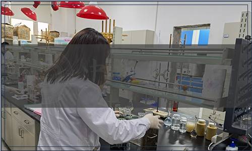 新疆維吾爾自治區生態環境保護產業協會標準發布公告|《新疆重點行業企業項目碳排放評價技術規范》團體標準（2023年第001號（總第001號））