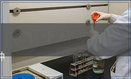 內蒙古自治區市場監督管理局《2023年第17號》|《大棚番茄套種根用芥菜技術規程》等40項地方標準