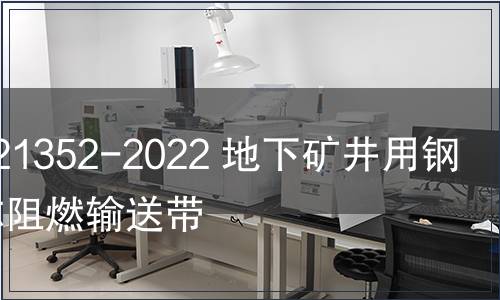 GB/T 21352-2022 地下礦井用鋼絲繩芯阻燃輸送帶