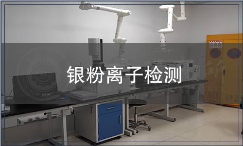銀粉離子檢測