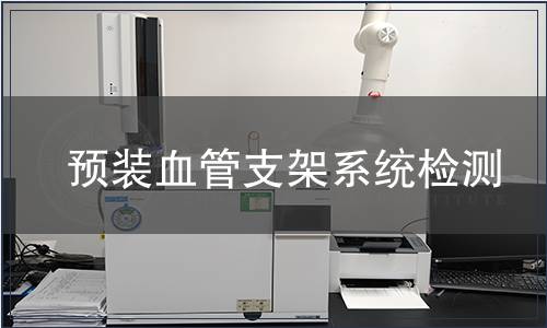 預裝血管支架系統檢測