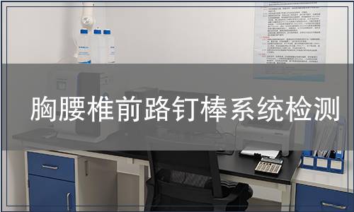 胸腰椎前路釘棒系統(tǒng)檢測