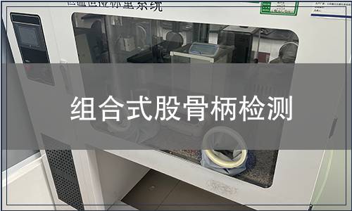 組合式股骨柄檢測