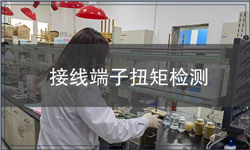 接線端子扭矩檢測