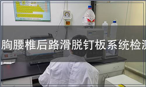 胸腰椎后路滑脫釘板系統檢測