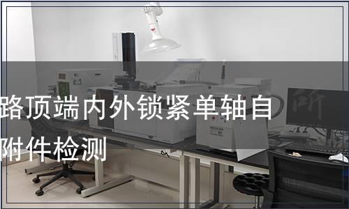 胸腰椎后路頂端內(nèi)外鎖緊單軸自攻螺釘含附件檢測
