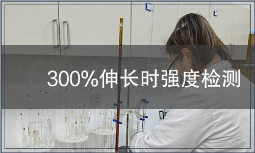300%伸長(zhǎng)時(shí)強(qiáng)度檢測(cè)
