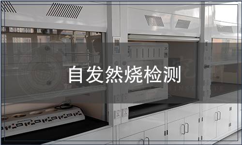 自發(fā)然燒檢測