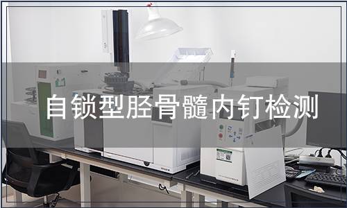 自鎖型脛骨髓內釘檢測