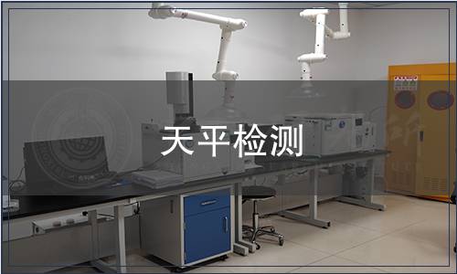天平檢測(cè)
