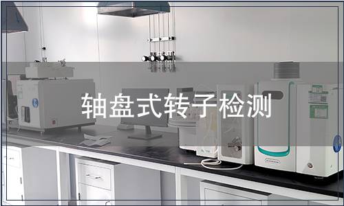 軸盤式轉子檢測