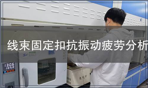 線束固定扣抗振動(dòng)疲勞分析