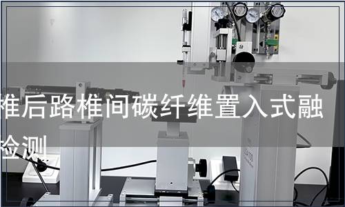 胸腰椎后路椎間碳纖維置入式融合器檢測