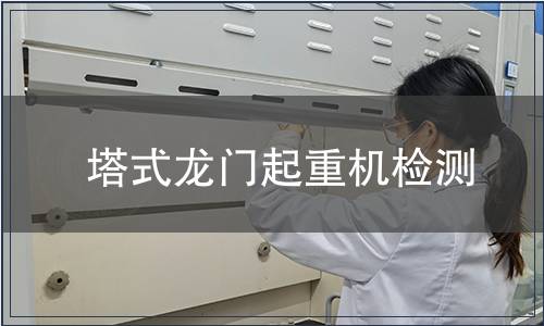 塔式龍門(mén)起重機(jī)檢測(cè)