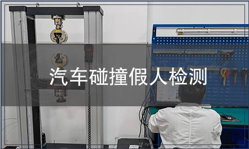 汽車碰撞假人檢測