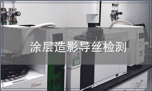 涂層造影導絲檢測