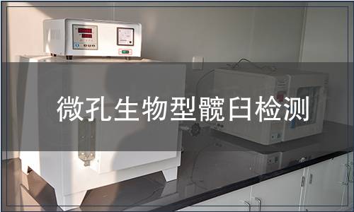 微孔生物型髖臼檢測