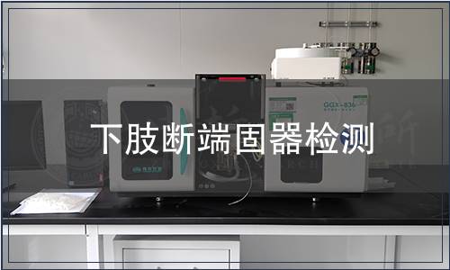 下肢斷端固器檢測