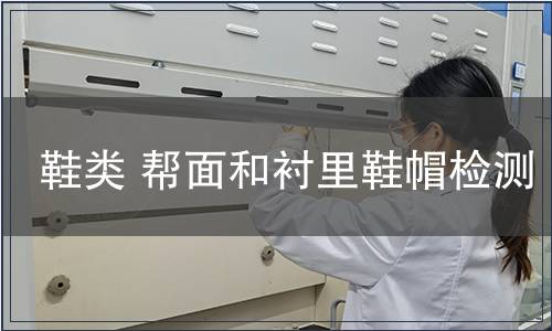 鞋類(lèi) 幫面和襯里鞋帽檢測(cè)