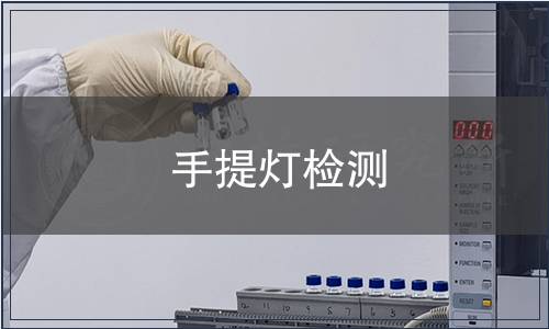 手提燈檢測