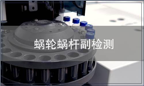 蝸輪蝸桿副檢測