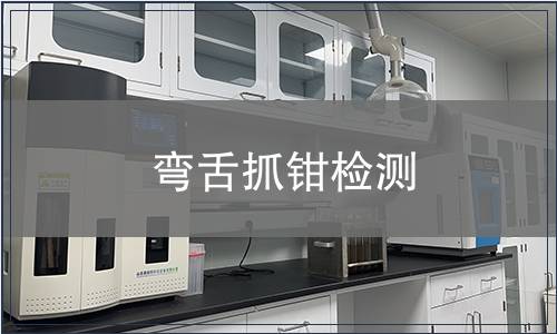 彎舌抓鉗檢測(cè)