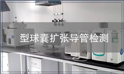 型球囊擴張導管檢測