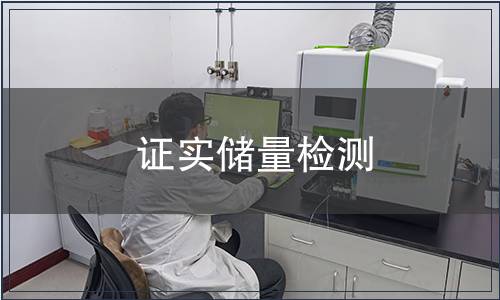 證實(shí)儲量檢測