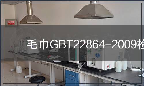 毛巾GBT22864-2009檢測