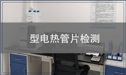 型電熱管片檢測