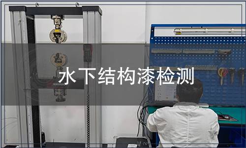 水下結(jié)構(gòu)漆檢測