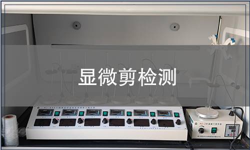 顯微剪檢測