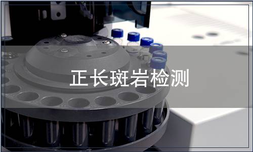 正長(zhǎng)斑巖檢測(cè)