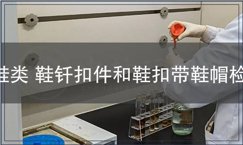 鞋類(lèi) 鞋釬扣件和鞋扣帶鞋帽檢測(cè)