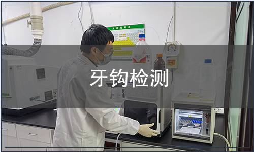 牙鉤檢測