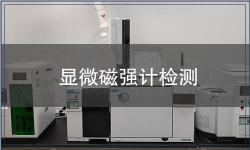 顯微磁強計檢測