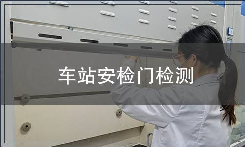 車(chē)站安檢門(mén)檢測(cè)