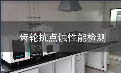 齒輪抗點(diǎn)蝕性能檢測(cè)