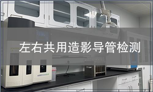 左右共用造影導管檢測