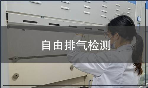自由排氣檢測