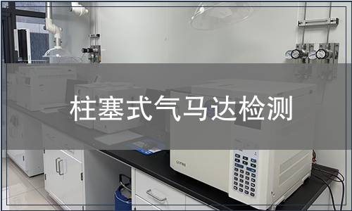 柱塞式氣馬達(dá)檢測(cè)