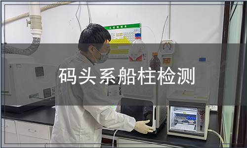 碼頭系船柱檢測