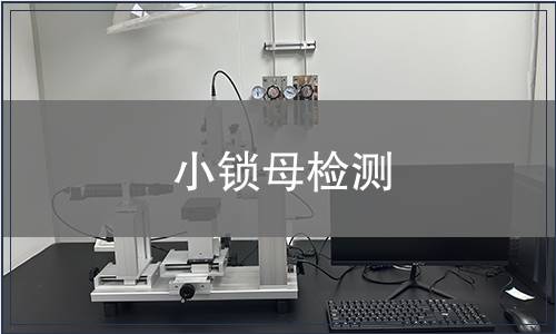 小鎖母檢測