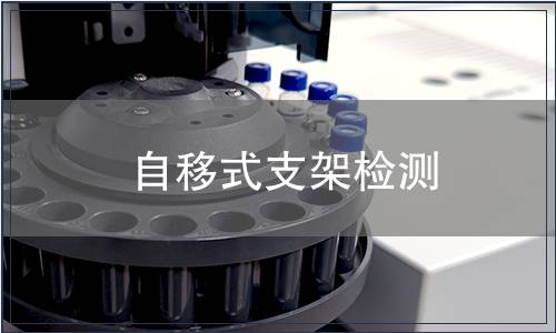 自移式支架檢測