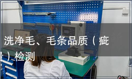 分級(jí)毛、洗凈毛、毛條品質(zhì)（疵點(diǎn)、重量）檢測(cè)