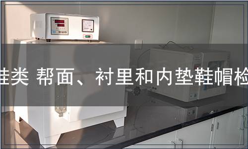 鞋類(lèi) 幫面、襯里和內(nèi)墊鞋帽檢測(cè)