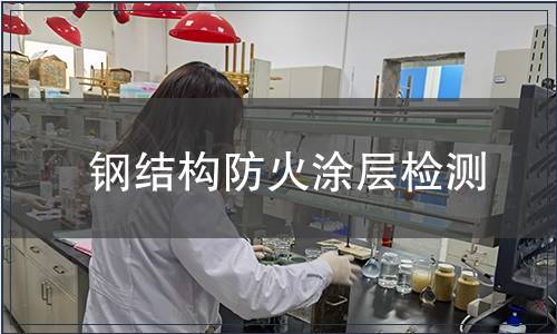 鋼結構防火涂層檢測
