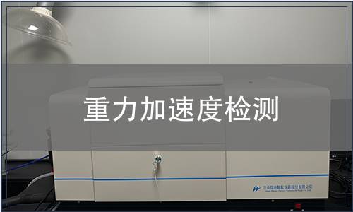 重力加速度檢測